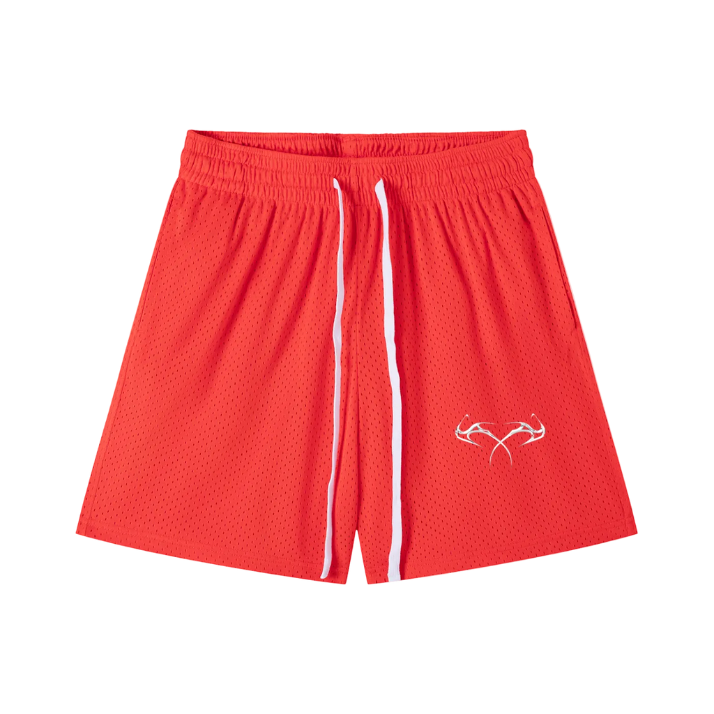 Mesh Drawstring Shorts