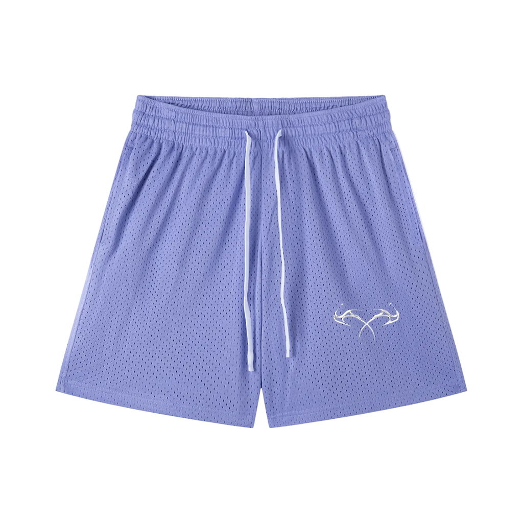 Mesh Drawstring Shorts